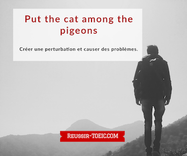  Put the cat among the pigeons 